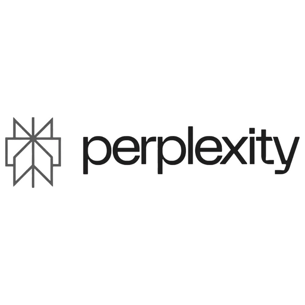 perplexity